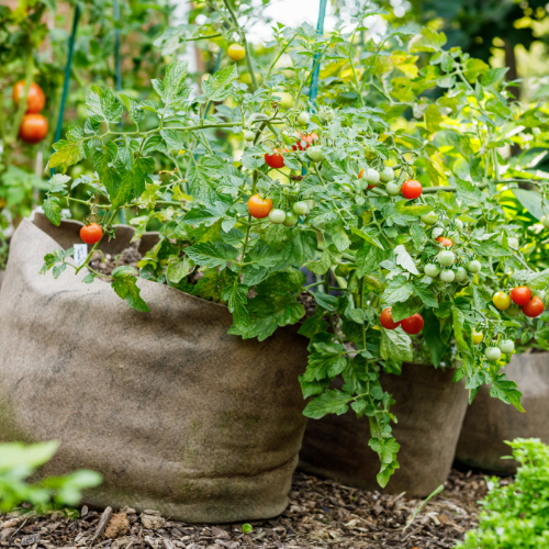 Event image Gardener in Residence